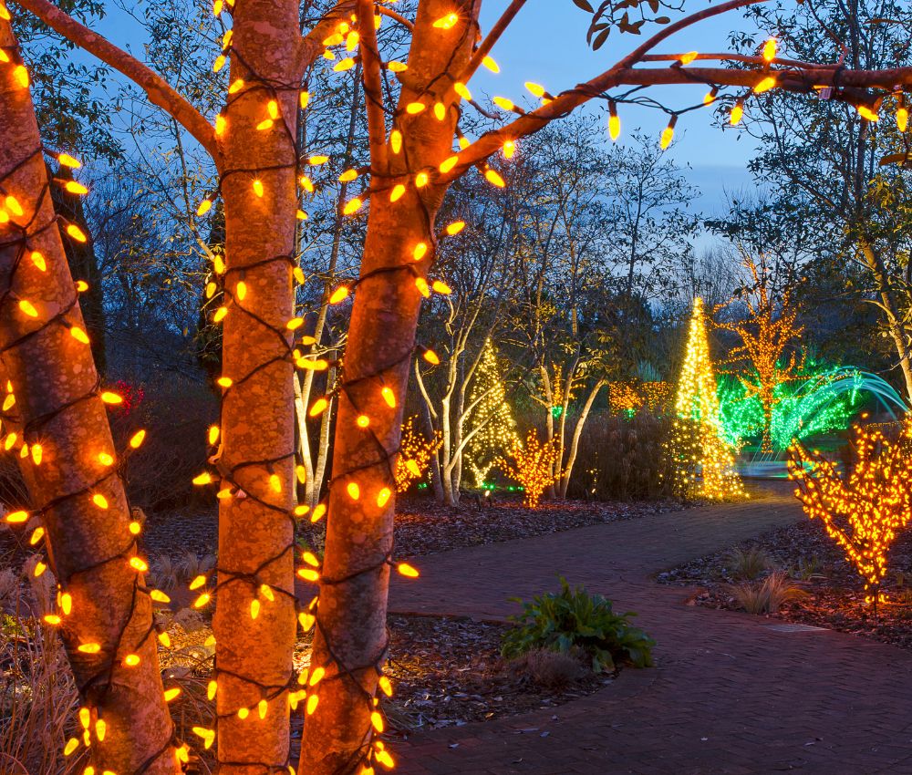 Selecting the Right Lights for Outdoor Tree Decorations