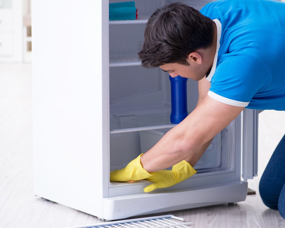 Professional Help vs. DIY: When to Call in Experts for Commercial Kitchen Refrigeration Repair